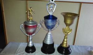 trofeos y copas desde $180