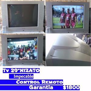 Tv 29" NIZATO Control Gtia