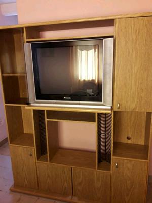 Vendo mueble y tv