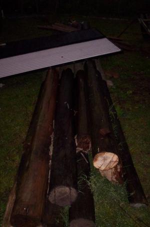 10 postes de eucaliptus tratado, de 6 a 6.5m de largo