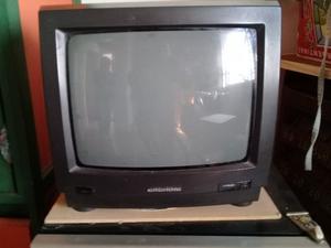 Televisor Grundig 14 Con Control Remoto