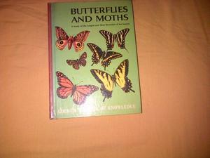 libro BUTTERFLIES AND PLUGS con ilustraciones