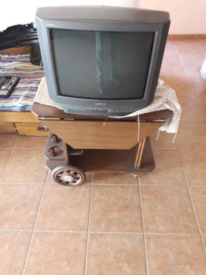 Vendo telévisor 21 pulgadas