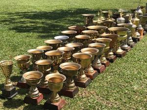 Lote Trofeos Copas De Metal Madera Muy Buen Estado Y Calidad