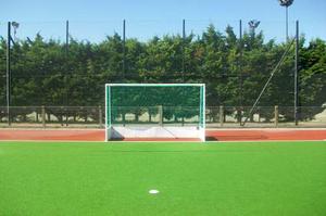 Red Hockey Sobre Cesped 3.80x2.14 Cajon 0.60x1.20m Par (952)