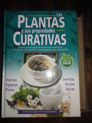 Las plantas y sus propiedades curativas.