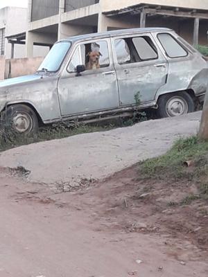 Vendo renoleta con perro incluido$