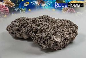 Rocas Del Mar Para Acuarios Marinos Y Reef