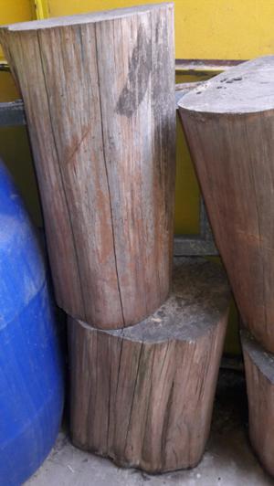 Pedazos de troncos grandes