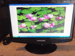 Monitor de pc, LCD Samsung de 16", completo