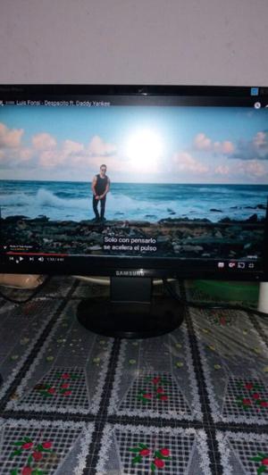 Monitor samsung 19"