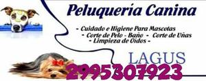 Peluqueria canina Lagus