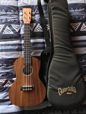 Ukelele Cordoba nuevo