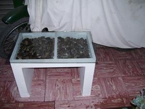 mesa ratona con piedras pesos 500