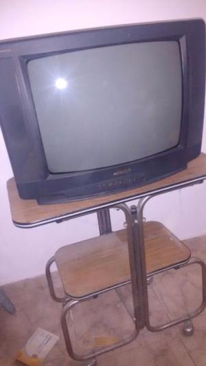 televisor 21 pulgadas