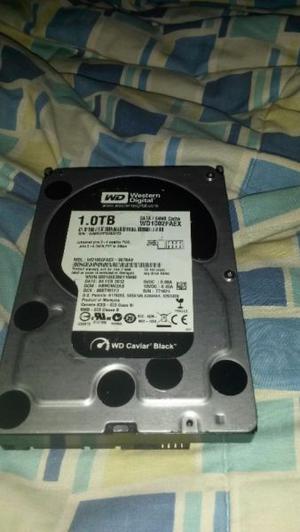 Discos rigidos 1TB.