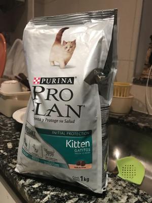 Alimento para Gatos Purina Pro Plan Kitten