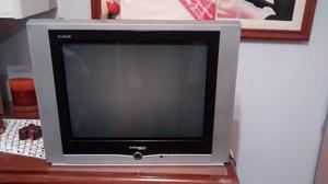 TELEVISOR TAKUMA DE 20 " REAL FLAT - IMPECABLE !!!!