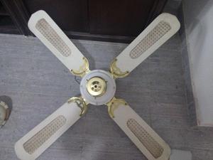 ventilador de techo