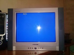 VENDO TV DE 21" NISATO(ESTA NUEVO)