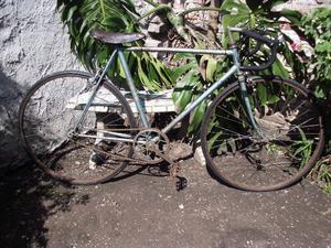 bicicleta antigua sport