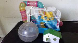 Hamstera con accesorios.