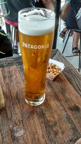 Vaso Cerveza Patagonia Liso 0.5l Nuevos Sin Uso