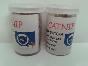 Catnip Autentico - Hierba Gatera Miyi - Tu Gato Feliz