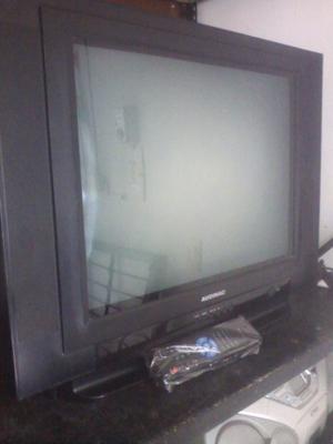 Tv Audinac Slim 21"