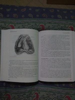 Rouviere Tomo 2 - Anatomía Humana 11° Edición