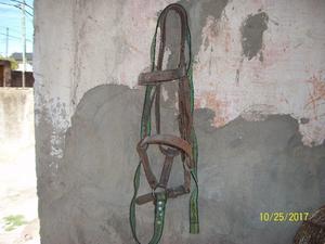 bosal y cabrestro para caballo