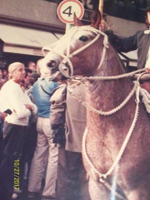 juego de soga blanco para caballos