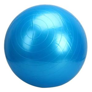 10 Pelota Yoga Esferodinamia Ball Pilates Gimnasia 65cm