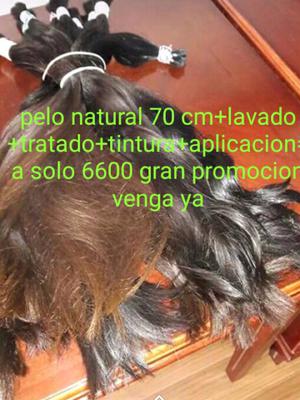 Pelo natural de 60 cm+aplicacion+tintura+tratado solo p 