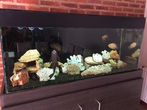ACUARIO TROPICAL 400 LTS COMPLETO