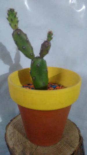 Vendo Cactus en maceta de barro Nº 10