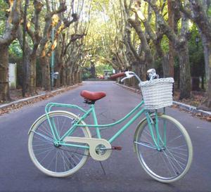 bicicletas vintage retro mujer