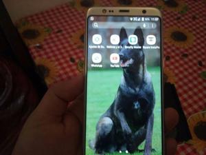 Celular Samsung S8 Liberado