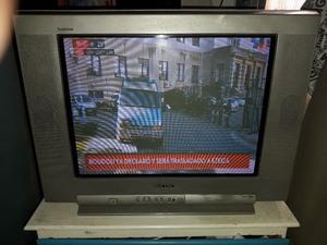 Televisor Sony Trinitron 21 Pulgadas