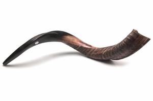 Shofar De Antílope/yemenita De 81 A 88 Cm M