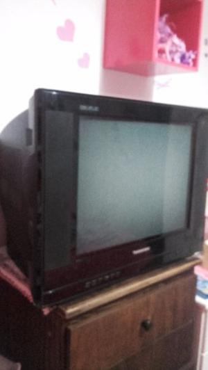 TELEVISOR TONOMAC 21" VENDO