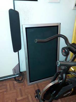 Monitor Plasma Sony Trinitron De 45 Widescreen Precioso