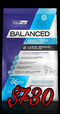 Vitalcan Balance perro adulto large breed 20kg