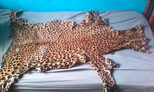 Cuero de leopardo