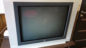 Televisor de 25 pulgadas