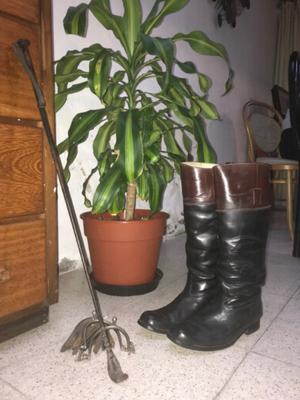 Botas de montar