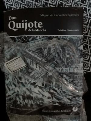 Don Quijote - edicion Guanajuato