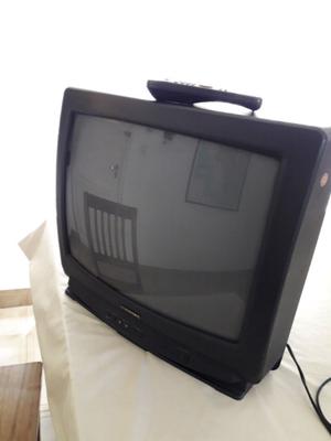 Televisor Audinac 21 pulgadas usado