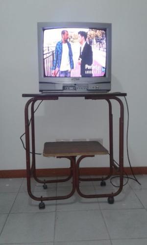 Vendo TV y mesa