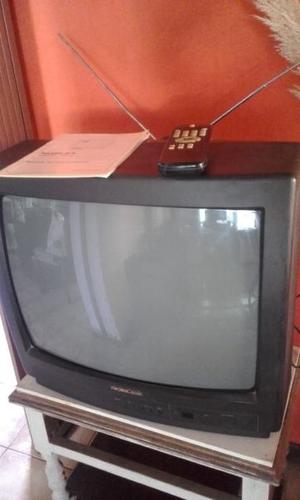 Vendo TV 20 " Noblex